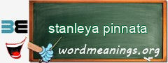 WordMeaning blackboard for stanleya pinnata